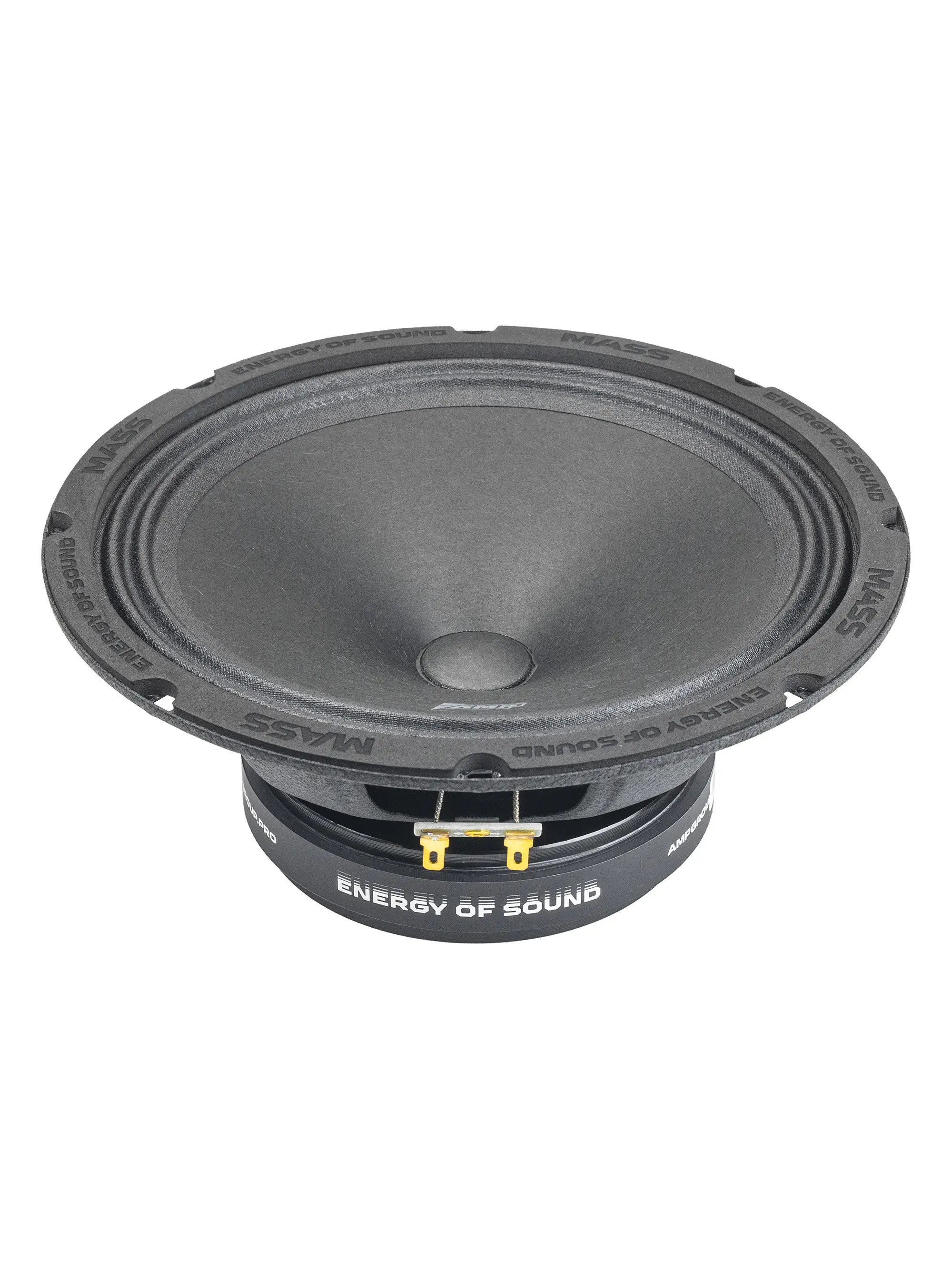 Акустика эстрадная AMP MASS FR80P120 (4ом) широкополосная оптом — цена от партии. Поставки для магазинов и установочных центров | AMPGROUP
